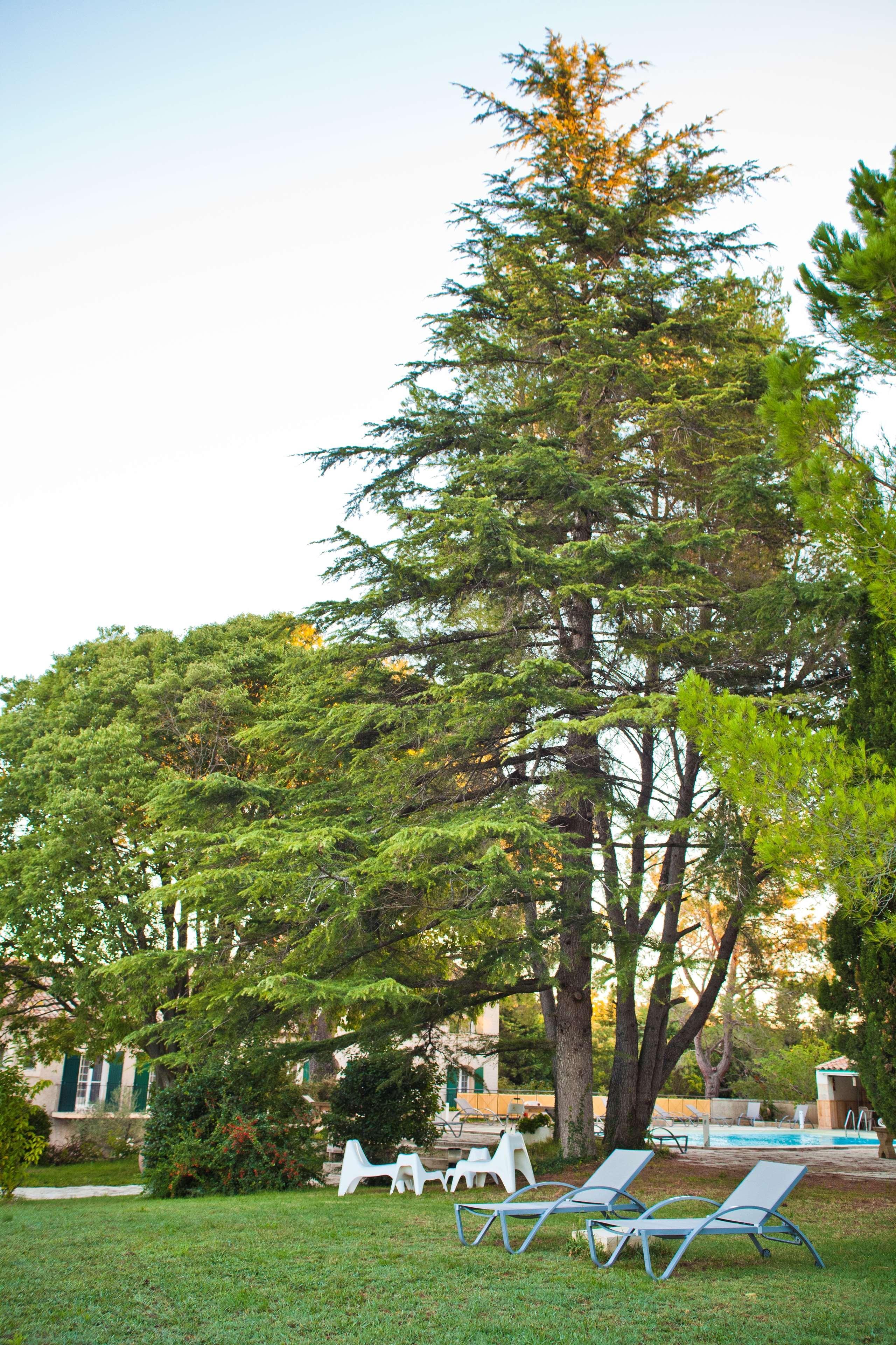 Best Western Le Val Majour Fontvieille Zewnętrze zdjęcie